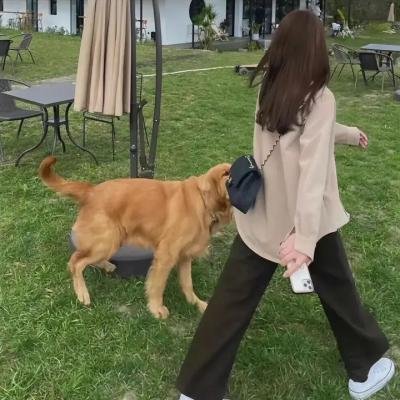 为爱孕狂